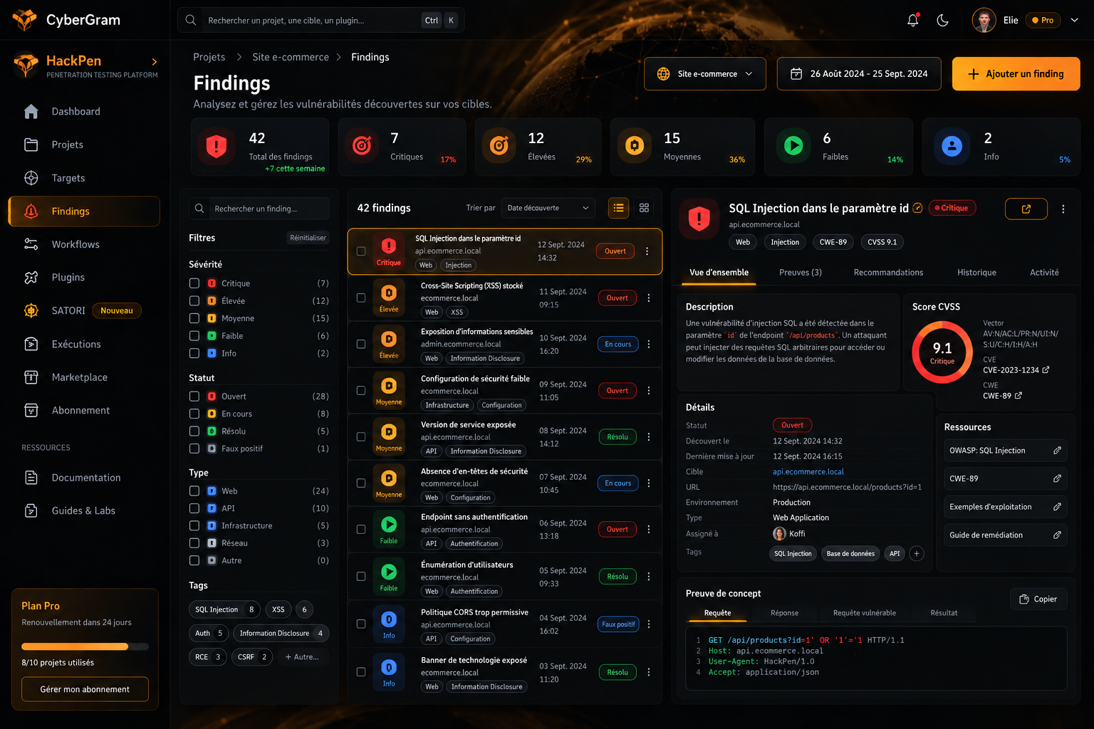 Capture de la vue Findings de HackPen